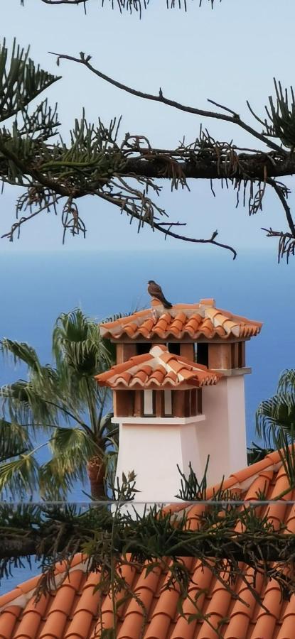 Villa Casa Moja - La Palma à Tazacorte Extérieur photo